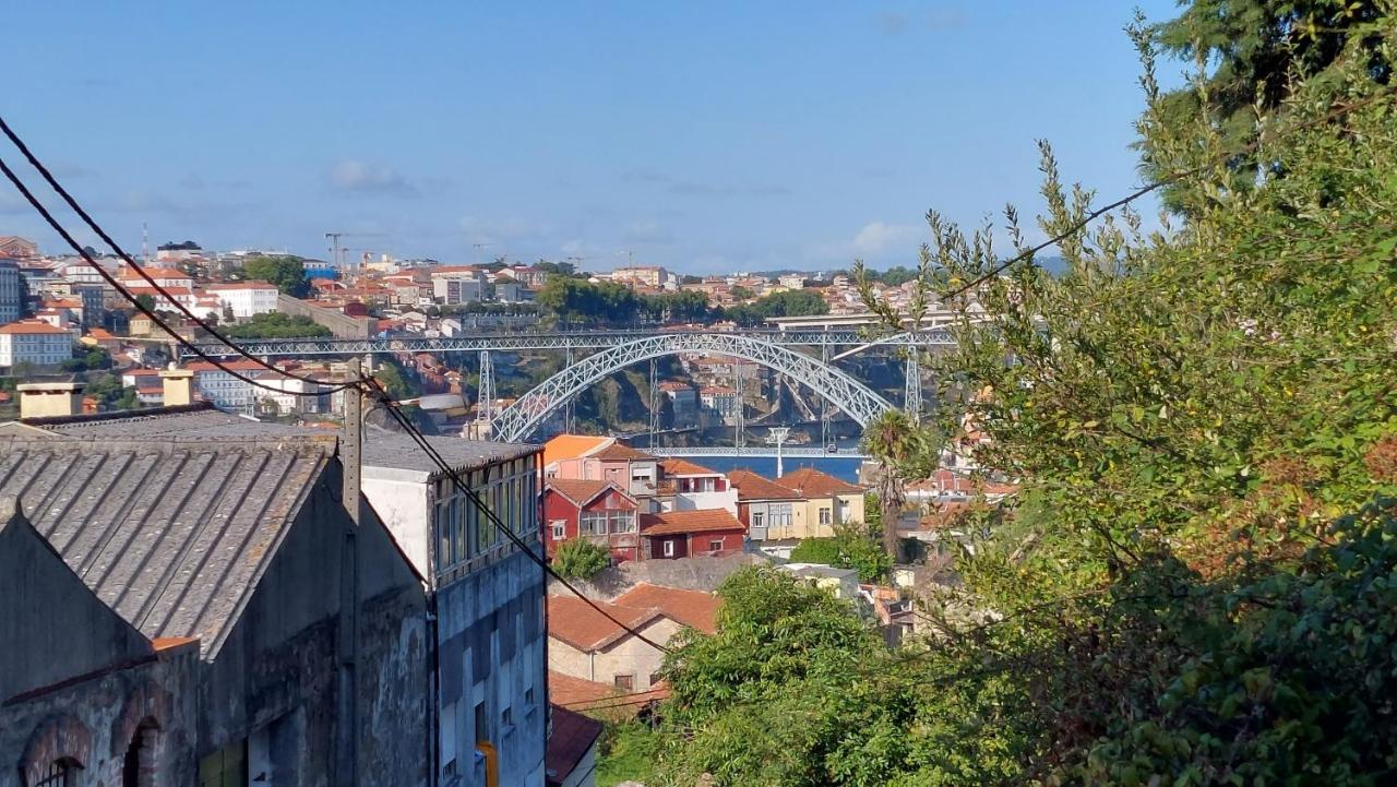 Вілла Vitoria Douro 2 Віла-Нова-де-Гая Екстер'єр фото